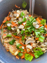 Load image into Gallery viewer, Raw Reset: 7 Raw Vegan Dinner Ideas (ebook)